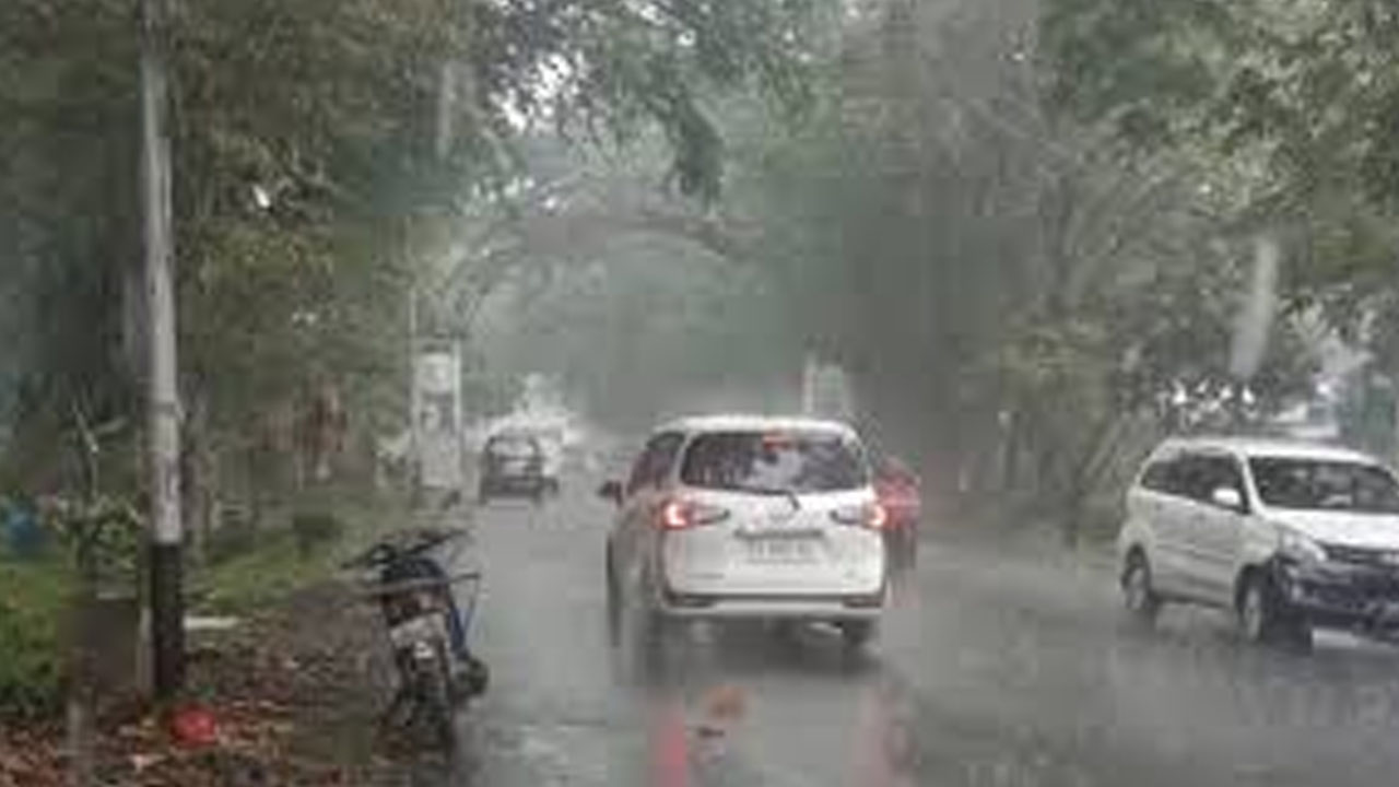 CjkinzN007023_20250405_CBMFN0A002